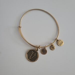 Alex and Ani V Charm Bracelet